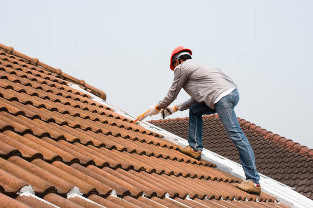 Best Roof Leak Repair  in Aurora, CO